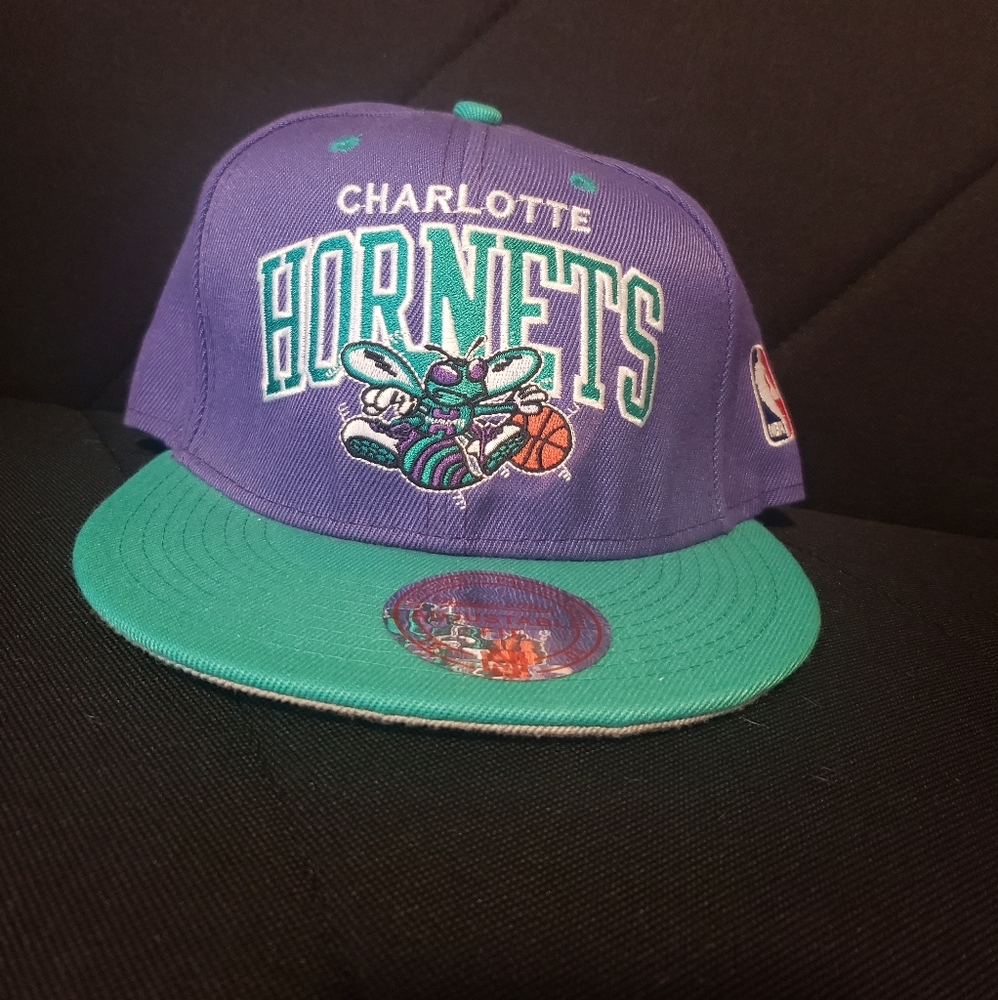 Charlotte Hornets Team Hat